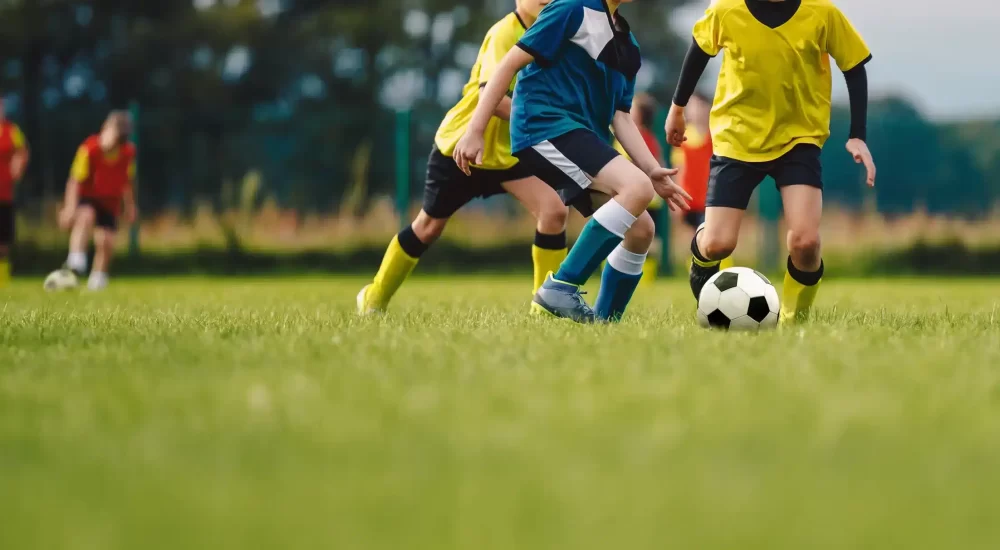 Robot mowers for schools